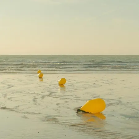 T2 Nid Serein, Jardin, Calme, Proche Centre-ville, Port, Plages * Courseulles-sur-Mer